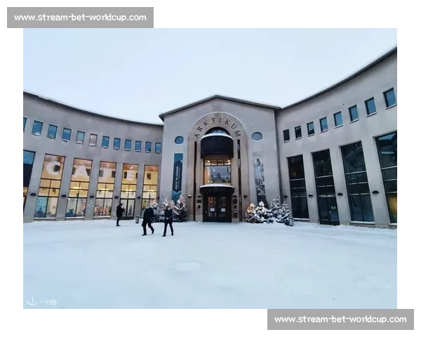冰雪之国的电竞脉搏：芬兰如何打造电竞产业新高地